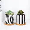 Planters Nordic Porcelain Succulents Plant Pot Ceramic Black and White Stripes Flower Pot with Tray Simple Office Bonsai Home Decor