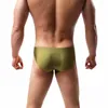 Underbyxor Howe Ray Mens Bikini Briefs Pouch Breattable Nylon Underwear Men Sexig kort midja glänsande trosor Shorts Badkläder