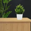 Fleurs décoratives 3 pièces plante en pot simulée table de bureau mini plantes vertes faux décors pp ornements de bureau artificiels avec faux intérieur