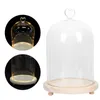 Garrafas de armazenamento Pequeno vidro Display Dome Cloche com base de madeira Bell Jar Bolo CoverDessert Queijo