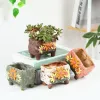 Pot de plantes succulentes de Style coréen, Pot de fleurs en céramique peint à la main, ornements de bureau, Vase de conteneur de plantes, décoration de balcon pour la maison