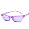 Sonnenbrille Europäischen Amerikanischen Stil Frauen Candy Farbe Cat Eye Form Sonnenbrille Vintage Retro Weiblich