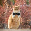 Ostra Dog Apparel Tuxedo muszka dekoracyjna kociak regulowany kot