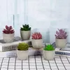 Decoratieve Bloemen 2 Stuks Mini Kunstmatige Vetplanten Nep Simulatie Bonsai Met Potten Groene Desktop Ornamenten Decor Voor Thuis