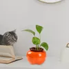 本棚オフィスのリビングルームのための植木鉢の植木鉢persimmon花瓶の置物