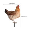 Garden Decoraties Dierhoenkuiken Grondstekker ornament Bord Lawn Stake Chicken Yards Acryl Decoratie Outdoor versiering