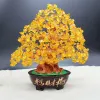 Sculture Cristallo giallo Albero di denaro Decorazione Bonsai Stile Feng Shui Ricchezza Fortuna Benedizione