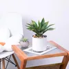 Dekoratif Çiçekler Succulents Bitkiler Yapay Aloe Bitki Büyük Sahte Olmayan Premium Crafting DIY yeşillik dekoru kapalı dış mekan için