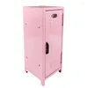 Storage Boxes Wrought Iron Small Makeup Cabinet Cosmetics Girls Box For Brush Lipstick Cotton Pad