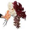 Dekorative Blumen, 5 Stück, künstliche Schmetterlings-Orchideen, Blumenzweig, 9 Köpfe, Seiden-Phalaenopsis-Stiel für Hochzeits-Mittelstücke, Blumen