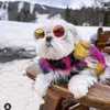 Gafas de gato de vestimenta de perros atractivos todo plástico fresco pequeño gafas de sol redondas de moda larga duradera