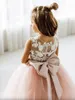 Lace Flower Girl Dress Bows Children's First Communion Dress Princess Tulle Ball Gown Wedding Party Dress