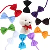 犬のアパレル50pcsミックスカラーキャット蝶ネクタイ犬犬子犬調整可能な弓形の小さなペットグルーミングアクセサリー卸売