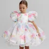 Fashion Girl White Princess Dress Tulle Puff Sleeve Wedding Party Kids Dresses for Girls Birthday Child Clothes Bridemaids Gown 240323