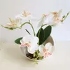 Blumen-Bonsai-Phalaenopsis-Simulation, Dreizack, kreative Hersteller, Simulationspflanze, Topfpflanzen, s