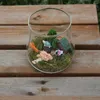Vasos transparente micro paisagem garrafa de vidro musgo planta suculenta vaso decoração para casa