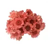 Dekorative Blumen Baby Atem leicht lang anhaltende natürliche gepresste getrocknete Gypsophila -Blumensträuße exquisit