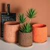 Plantenbakken Nordic cement pot persoonlijkheid creatieve imitatie vulkanische steen ademende groene planten pot succulente pot woondecoratie eenvoudig