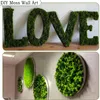 Flores decorativas 10g/50g/100g Plantas artificiales Vida eterna Moss Jardinería Decoración del hogar Material DIY Material Mini Micro Landscape