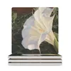 Placemats Moonflower II Keramische onderzetters (vierkant) Kerstbekerhouder Bloem