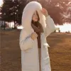 Taille minceur doudoune femmes au-dessus du genou lg secti 2023 automne et hiver nouveau manteau rembourré en duvet de canard blanc à capuche marée.z5DO#
