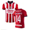 2023 2024 Chivas De Guadalara maglie da calcio 23 24 Casa Away Terzo CHICHARITO Speciale D.VALDES GIOVANI GIGNAC Tigres UANL Club America Maglie da calcio per adulti