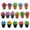 Decorative Flowers 16 Pcs Miniature Succulents Decorations Kids Toys Artificial Plants Model Bonsai House Accessories Resin Child Models