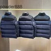 High Version Winter New Plush and Thick Standing Collar Down Jacket for Mens m Family Versatile Warm White Duck Couple