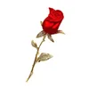 Brooches Romance Elegant CZ Leaf Golden Long Thorns Stem Enchanting Red Rose Bud Pin Broaches Enamel Floral Date Anniversary Gift Jewelry