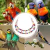 Autres fournitures d'oiseaux Échelle de perroquet Balançoire en bois pour perruche Jouets d'escalade Accessoires de cage de corde