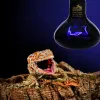 Lighting Reptile Night Heating Lamp Bulb Imitation Moonlight Night Sleep Lighting Lamp for Turtle Lizard Snake Reptile Amphibian Pets E27