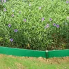 Gartendekorationen, 20 Stück, rostfreie Zaunpfähle aus Kunststoff für Pflastereinfassungen, einfach zu installieren, rost- und korrosionsbeständig