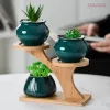 Magasy 3 lager Small Plant Pot Holder Mini Planter Bambu Tray Mini Liten Flower Plant Pot Stand for Home Office Table Decoration