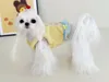 Hundebekleidung, Winterkleid für Haustiere, Katze, Chihuahua, Welpe, kleiner Kostümrock, Yorkie, Zwergspitz, Shih Tzu, maltesischer Pudel, Bichon, Schnauzer, Kleidung