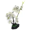 Set di stoviglie sushi decorazione fiori tavolo da pranzo tavolo decorativo decoro piastra decorate piante ornamenti in resina el