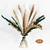 Fleurs décoratives Pampas séchés naturels Grass moelleux pour la décoration de chambre maison boho bouquet de table de chambre à coucher moderne occidentale décor