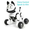 Youdi Voice Robot Interactive Dog Cat Smart Control Robotic Pet Electronic Animal Animal Program Spacer i gest zabawek po L72787 AIHI