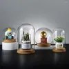 Vasen 5 Stück Pflanze Klarglaskuppel Blumenschutz Ornament Kuchen Kreative Abdeckung Dekor mit Basis Mikrolandschaft Vase Kind