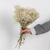 Dekorative Blumen, natürliche frische Gypsophila-Zweige, getrocknete Blumen, Hochzeitsdekoration, Arrangement, konservierter Schleierkraut-Blumenstrauß für Zuhause