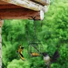 Andere Vogelbenodigdheden Koper Eekhoornbestendige Voeders Tiny House.e 2024 Kolibrie Voor Buiten Voeder Op Het Venster Gemonteerd