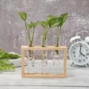 Vasen Holzrahmen Transparente Glasvase Bonsai Eisen Desktop Ornament Für Haushalt Wohnzimmer Büro Kreative Dekoration