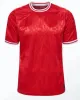 Fotbollströja 2024 Nytt 2025 National Team 24 25 Soccer Shirt Men Kids Kit Full Set Home Red Away White Men Uniform Christensen Jensen Eriksen Dolberg