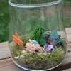 Vasos transparente micro paisagem garrafa de vidro musgo planta suculenta vaso decoração para casa