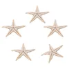 Piatti decorativi 200 pezzi Stelle marine naturali Conchiglie Spiaggia Mestieri Stelle marine Decorazione di nozze fai da te Artigianato Decorazioni per la casa 1-5 cm