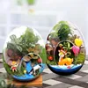 Vazen 1Pc Creatieve eivormige Glazen Flessen Hydrocultuur Vlezige Micro Landschap Terrarium Succulent Vaas Moss Home Decor