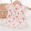 Vêtements de chien robe mignonne pour la fête de mariage dentelle vêtements doux petits chiens fille princesse chat été chiot Yorkie Teddy