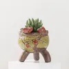 Planters koreansk stil grov poterry saftiga växtpott kreativ köttig potten planter vas kontor desktop ornament balkong dekor