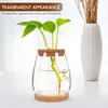Vases 1 Set Of Clear Glass Succulent Vase With Bamboo Saucer Planter Hydroponic Decor