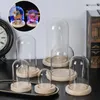 Bottiglie di stoccaggio Vaso cloche in vetro Espositore Coperchio Bottiglia per terrario con base in legno Scatola per polvere acrilica Fiore immortale