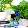 Cans 6Pcs Indoor Plant Watering Globes Automatic Self Water Bulbs Aqua Water Globe Irrigation Device Decorative HandBlown Glass 15cm